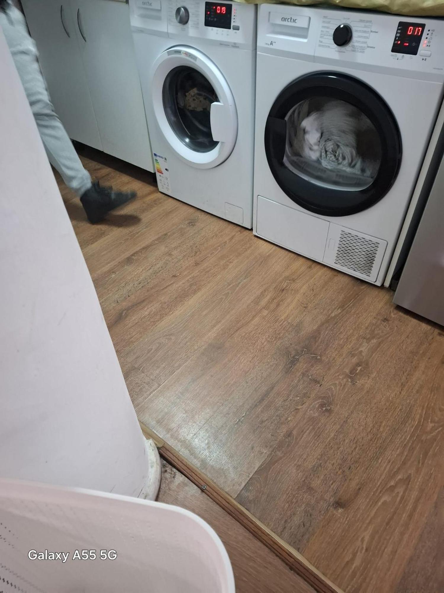 Casa Vlaicu Hotell Braşov Eksteriør bilde